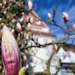 Haus Am Beckerberg Im Harz * Bad Grund