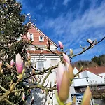 Haus Am Beckerberg Im Harz
