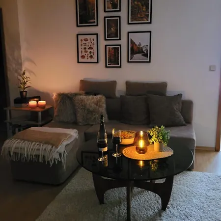 Haus Am Beckerberg Im Harz Lejlighed