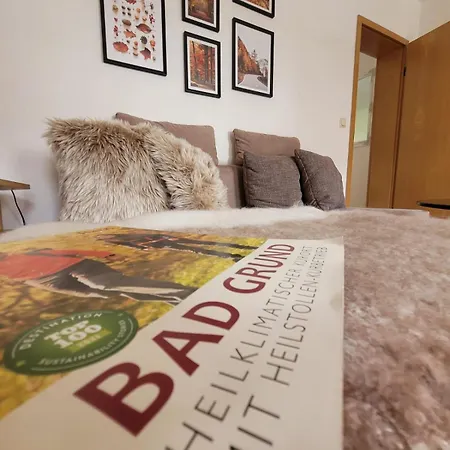 Haus Am Beckerberg Im Harz * Bad Grund