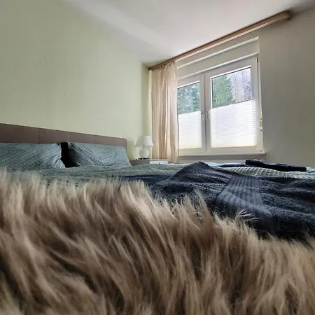 Haus Am Beckerberg Im Harz Apartman