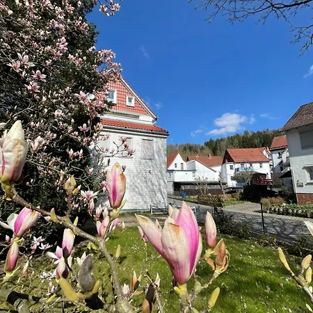 Haus Am Beckerberg Im Harz *