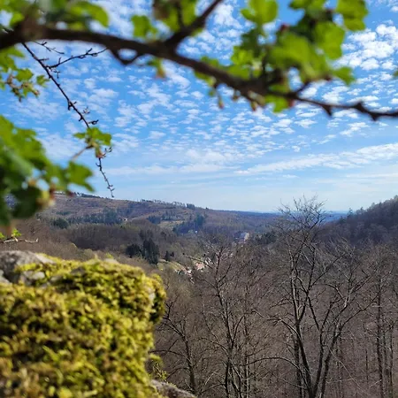 Haus Am Beckerberg Im Harz Apartamento *
