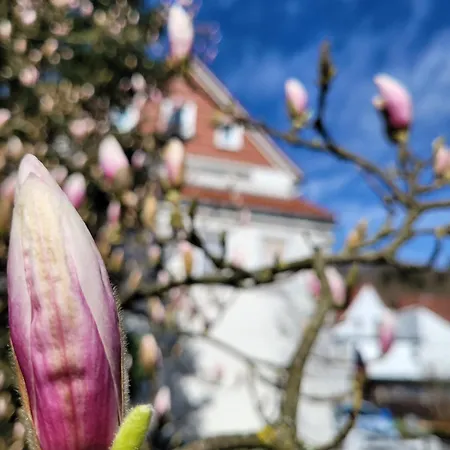 Haus Am Beckerberg Im Harz * Bad Grund