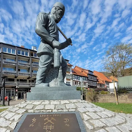 Haus Am Beckerberg Im Harz