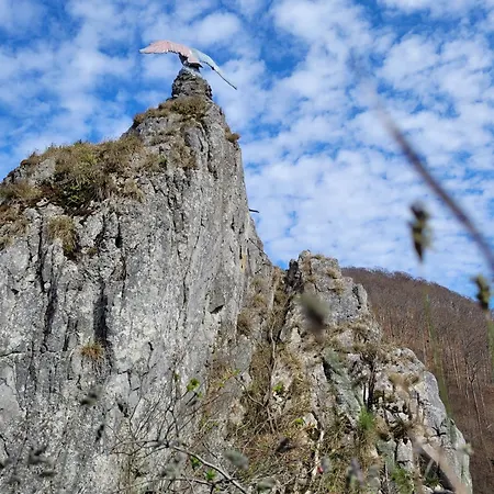 Haus Am Beckerberg Im Harz Bad Grund
