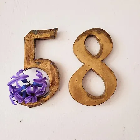 Haus Am Beckerberg Im Harz Lejlighed