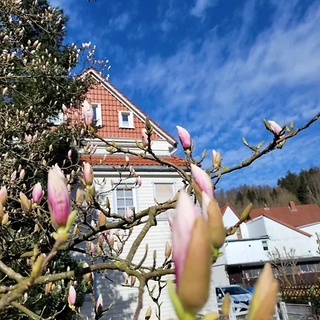 Haus Am Beckerberg Im Harz