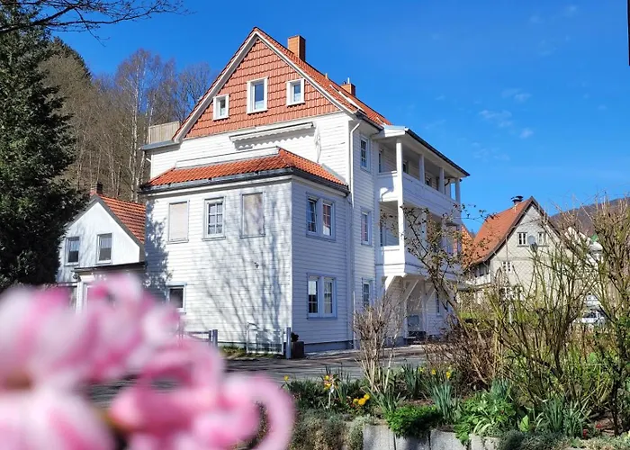 Haus Am Beckerberg Im Harz Apartmán *
