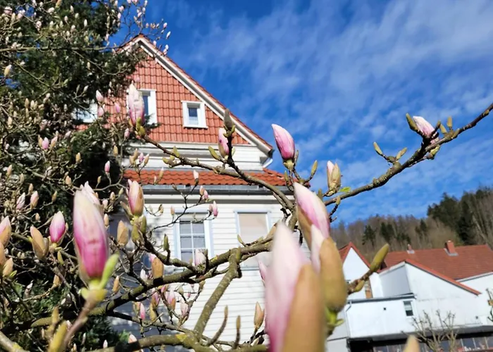 Haus Am Beckerberg Im Harz